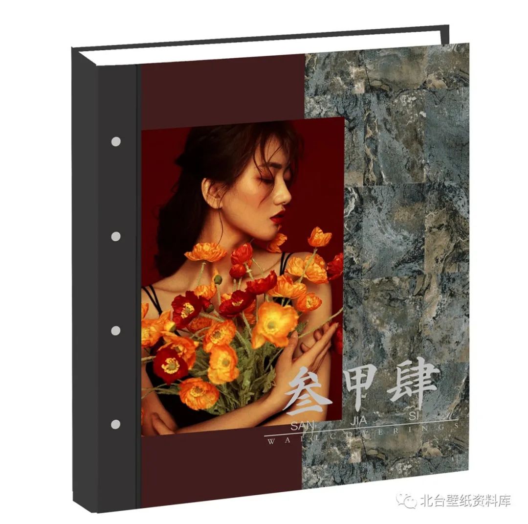 外貿精品係列—《三甲4》